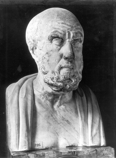 Bust of Hippocrates by Greek