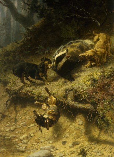 Dachshunds on a Badger by Guido von Maffei