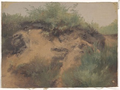 Dune Pan by Guillaume Anne van der Brugghen