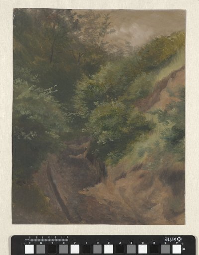 Dune Road by Guillaume Anne van der Brugghen