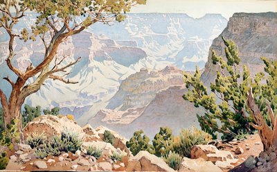 Grand Canyon by Gunnar Widforss