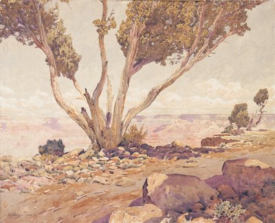 Grand Canyon by Gunnar Widforss