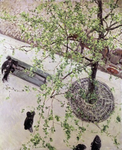Boulevard Seen from Above by Gustave Caillebotte