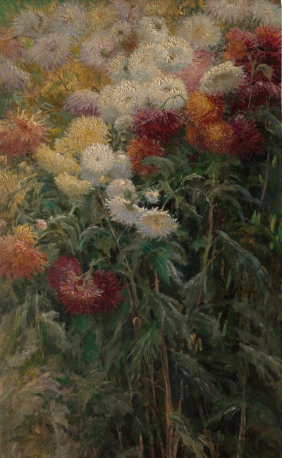 Chrysanthemums in the Garden at Petit-Gennevilliers, 1893 by Gustave Caillebotte