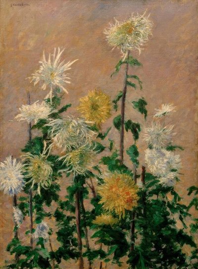 White and Yellow Chrysanthemums by Gustave Caillebotte