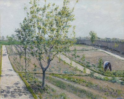 The Vegetable Garden, Petit Gennevilliers by Gustave Caillebotte