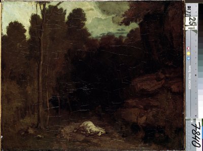 Unknown Image by Gustave Courbet
