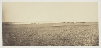 Untitled by Gustave Le Gray