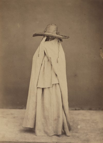 Algerian Woman by Gustave de Beaucorps