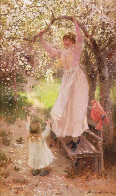 Falling Apple Blossoms by Hamilton Hamilton