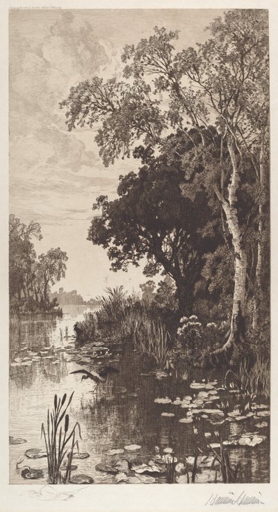 Untitled (Summer) by Hamilton Hamilton