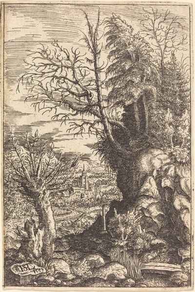Landscape with a Willow by Hanns Lautensack