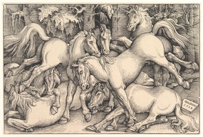 Group of Seven Horses by Hans Baldung