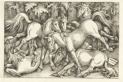 Group of Seven Fighting Horses by Hans Baldung Grien