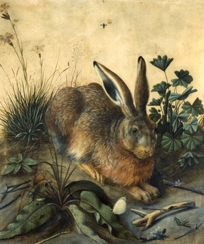 Hare by Hans Hoffmann