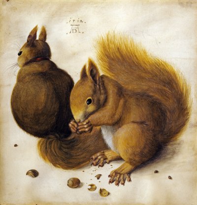 Two Squirrels by Hans Hoffmann