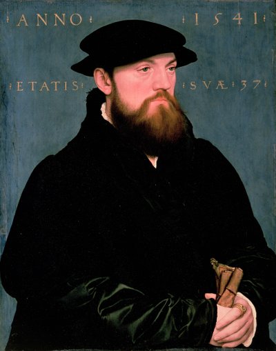 De Vos Van Steenwijk by Hans Holbein der Jüngere