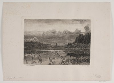 The Lake in the Pine Forest by Hans Julius Fæster