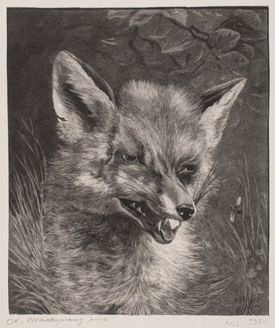 Head of a Fox by Hans Peter Hansen