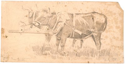 Two oxen by Hans Smidth