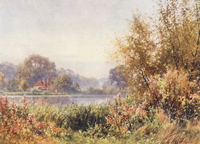 Autumn Weeds, Chilworth by Harold Sutton Palmer