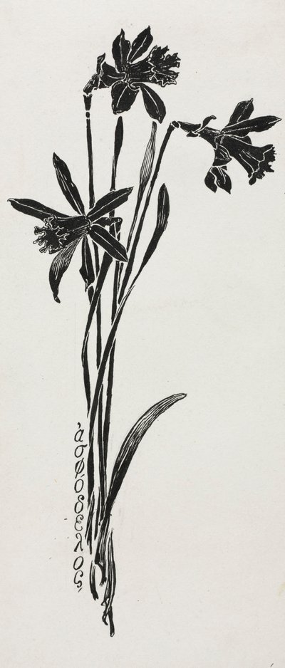 Daffodils by Harry Fenn