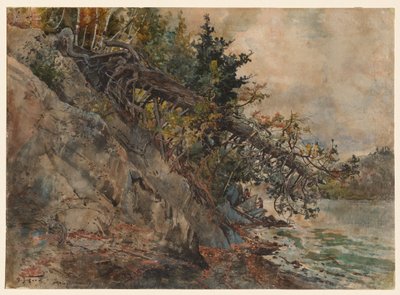 Lake Memphremagog by Harry Fenn