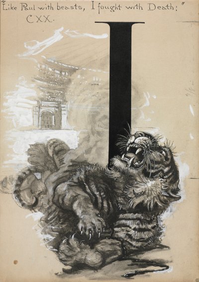 Tiger by Harry Fenn