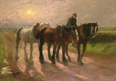 Homeward by Harry Fidler