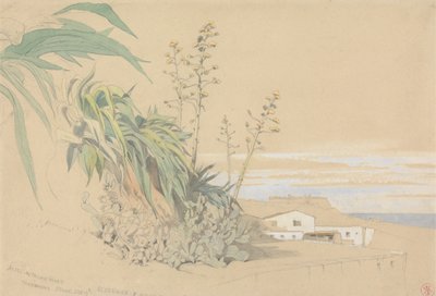 Aloes and Prickly Pears, Tarragona, Spain by Harry John Johnson