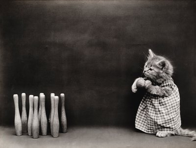 Kitties Series: Bowling, c.1914 by Harry Whittier Frees