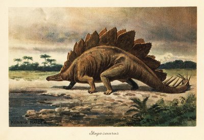 Stegosaurus Armatus of the Late Jurassic by Heinrich Harder