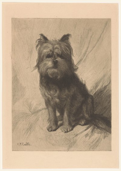 Dutch Smoushond by Heinrich M. Krabbé