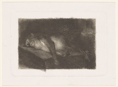 Lying, Sleeping Monkey by Heinrich M. Krabbé