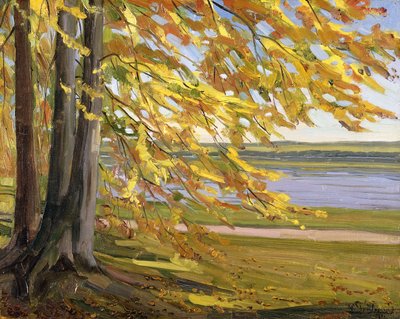Lake Starnberg by Heinrich Wilhelm Truebner