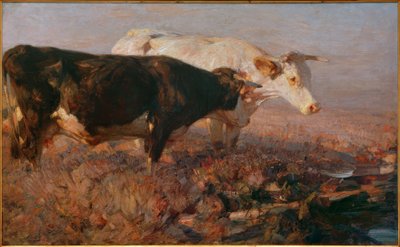 Cows in the Moor by Heinrich von Zügel