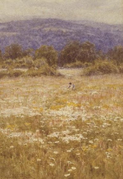 Summer Flowers by Helen Allingham