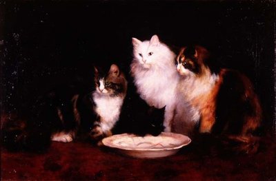 The First Lap by Helen Cridland