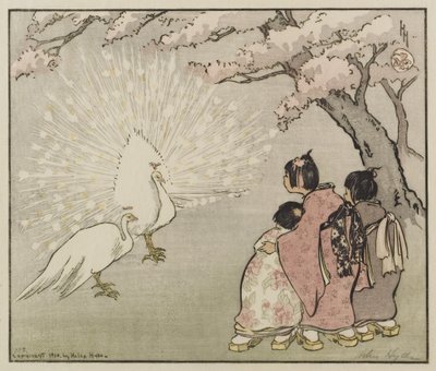 White Peacock, 1914 by Helen Hyde