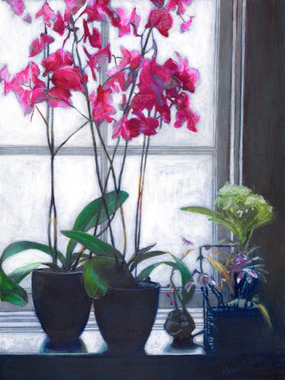 Amsterdam Window by Helen White