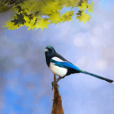 Balance Keeper by Helen White