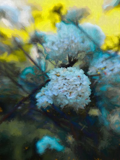 Blooming Maytime by Helen White