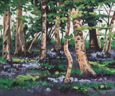 Bluebell Wood by Helen White