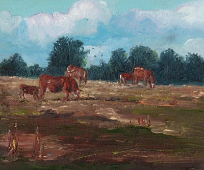 Cows Grazing by Helen White