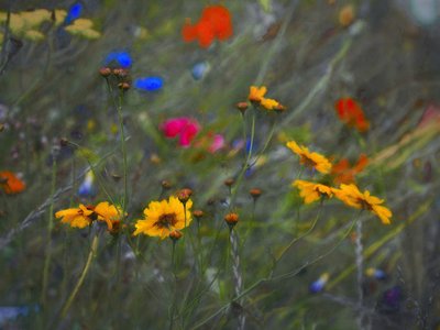 Divine Mystery by Helen White