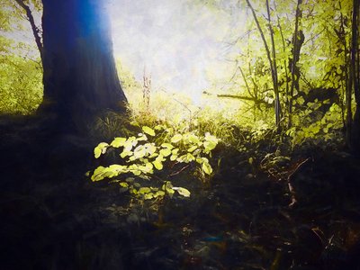 Hallowed Place by Helen White