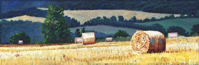 Haybales on hillside by Helen White
