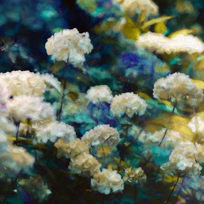 Heavenly Hydrangeas by Helen White