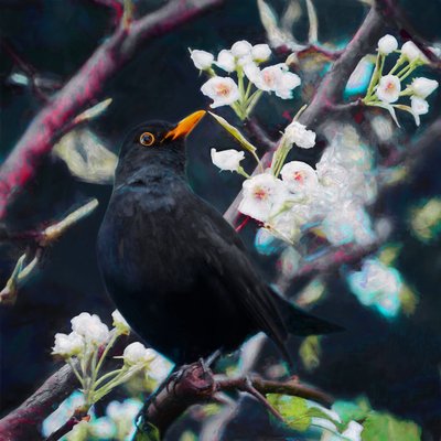 Lord of the Summer Song by Helen White