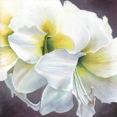 Pure Potential, 2016 by Helen White